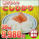 米 30kg 送料無料 こしひかり 一等米 28年 埼玉県 植竹さん 玄米 精米無料(白米27kg)
