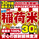 600万食突破 白米 放射能検査済 30... 600万食突破 白米 放射能検査済 30...