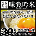 白米 28年産 30kg 味覚吟米 全国送料一律 お米 30kg×1 米国産