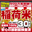 600万食突破 国産白米 ポイント3倍!放射能検査済 28年版新米入 30kg 稲荷米【全国一律送料】10kg×3 ブレンド米