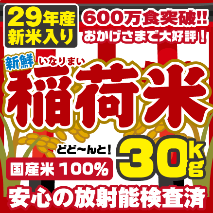 放射能 アイテム口コミ第5位