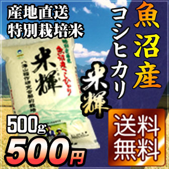 【お試し米・送料無料】特別栽培米魚沼産コシヒカリ米輝500g【メール便】【23年度産】【500円ポッキリ】【02P123Aug12】【まずはお試し！お一人様2つまで】米処魚沼から産地直送。安心、安全、生産者の顔がわかるお米です。500g500円ポッキリ送料無料！