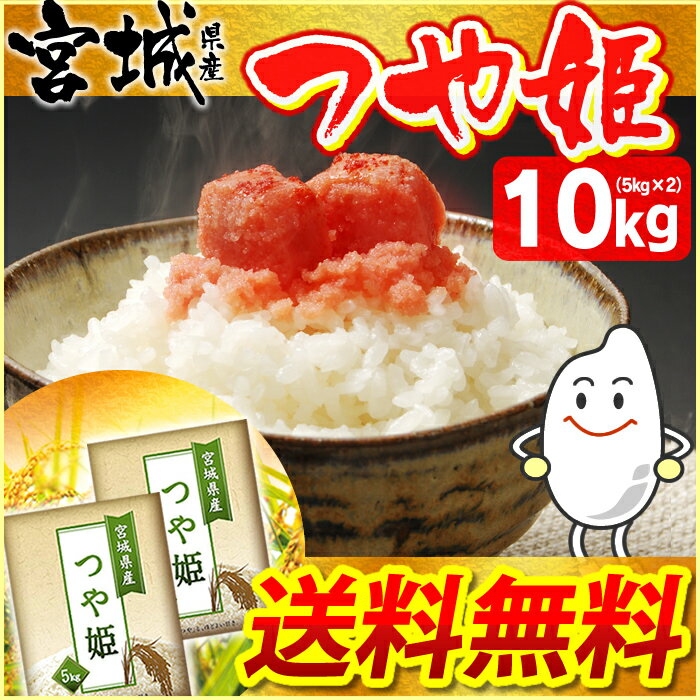 つや姫 10kg 送料無料【28年産】宮城県産 つや姫 10kg（5kg×2袋）[白米/お…...:komeking:10000811