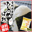 新米【令和元年産】宮城県産 ひとめぼれ 5kg送料無料 令和元年産 白米 米 5キロ ひとめぼれ ヒトメボレ お米 5kg お米 ご飯 【TD】【TRS】【メーカー直送品】