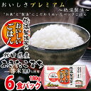 低温製法米のおいしいごはん あきたこまち 180g×6パック 角型 米 お米 コメ ライス ごはん ご飯 白飯 白米 ブランド米 銘柄米 低温製法 コールド 15℃ あきたこまち 秋田 新鮮 低温製法米 アイリスフーズ
