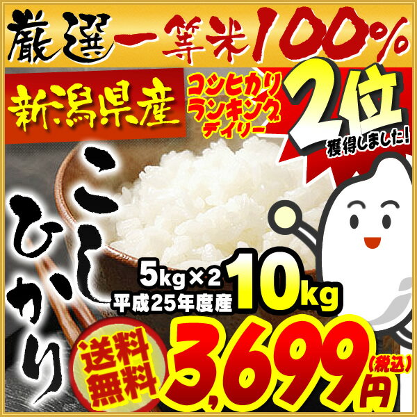 【予約】【送料無料】【今だけ！！3,699円】≪5kg×2袋≫新潟県産 白米 こしひかり 10kg（5kg×2）平成25年度産 【米BS】[一等米100%/白米/米/ご飯/コシヒカリ/新潟県産]【RCP】【マラソン201407_送料