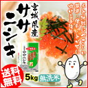 ササニシキ 無洗米 宮城県産ササニシキ 5kg 無洗米【令和元年産】ササニシキ 無洗米 5kg ささにしき 5キロ 白米 お米 コメ ご飯【TD】【米TKR】【メーカー直送品】【RCP】