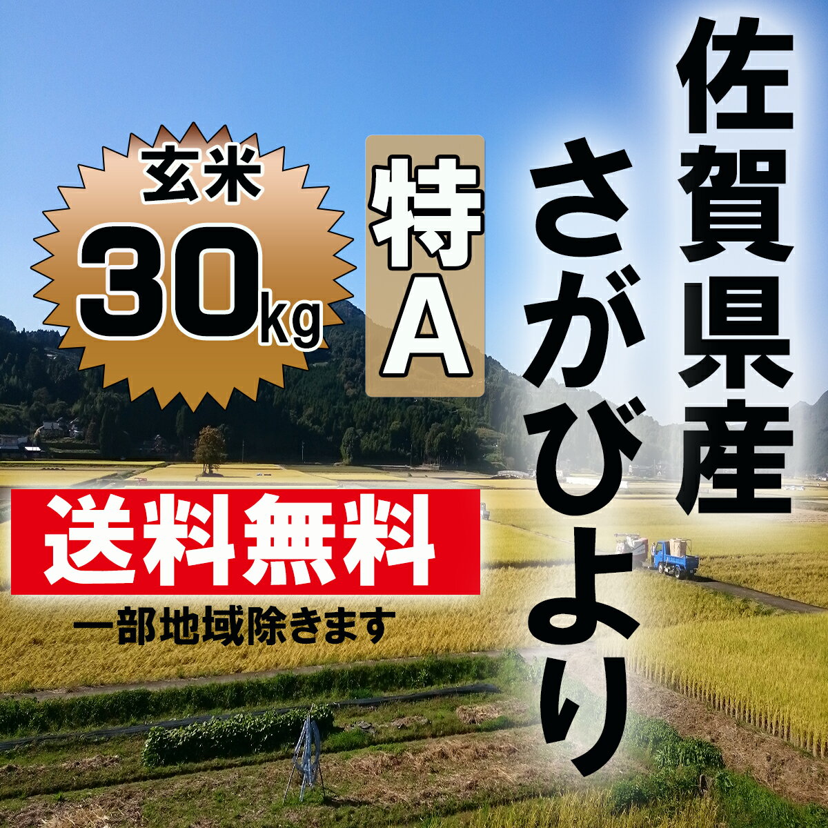 【送料無料】【28年産】【新米】6年連続特A　佐賀