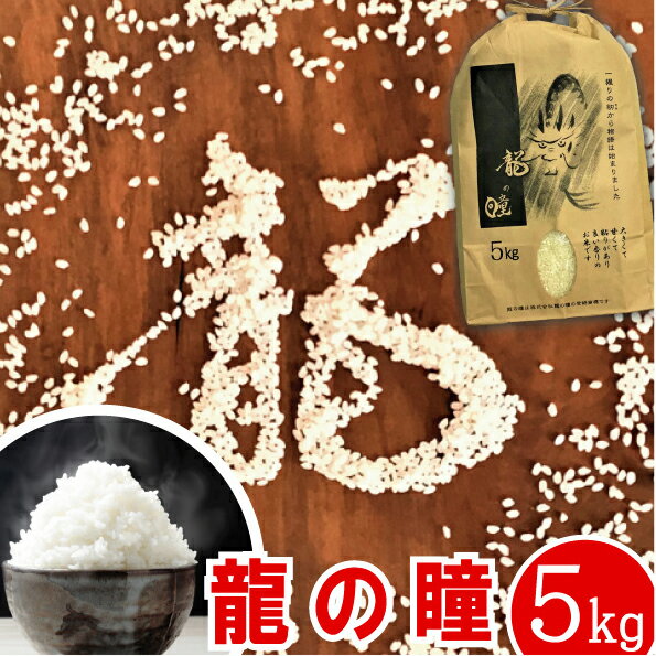 幻のお米 <strong>龍の瞳</strong> 5kg【送料無料】令和5年産 ギフトご贈答に！ 岐阜県下呂発祥 いのちの壱【認定特約店】 お中元 お歳暮 御中元 お米