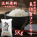 30年産 新米 魚沼産コシヒカリ 5Kg 【本州地区送料無料...
