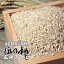 3年産　北海道産ほしのゆめ玄米10kg（5kg×2）送料無料　北海道米