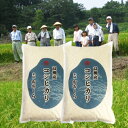 特A 棚田米 新潟県産コシヒカリ(平成30年産)(高柳地区限...