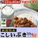 【新米】新潟県産こしいぶき(平成29年産)(玄米)30kg【精米無料】【送料無料(本州のみ)】佐川急便でお届け