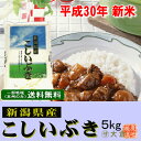 新米 30年産 新潟県産こしいぶき(平成30年産)5kg【送...