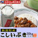 新潟県産こしいぶき(平成30年産)(玄米)30kg【精米無料...