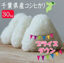 ↓値下げ↓30年産 千葉県産こしひかり30kg【送料無料】(一部地域を除く)中国・四国地
