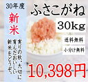 新米入荷!30年 千葉県産ふさこがね 30kg 一等米 【送...