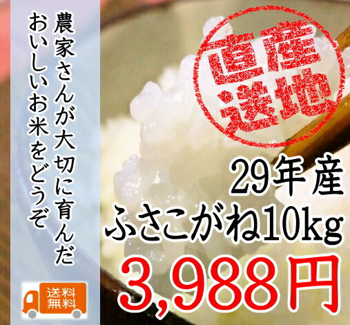 29年産千葉県産ふさこがね 10kg　太陽の恵たっぷりつやつや！！【送料無料】【10kg送料無料】一部地域を除きます。10kg、1袋の商品です。【米　10kg　送料無料】玄米　10kg　送料無料 玄米　あす楽