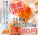 29年千葉県産あきたこまち 5kg♪ピカピカ米☆【送料無料】...