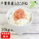 令和元年産 千葉県産ふさこがね 10kg【送料無料】一部地域...
