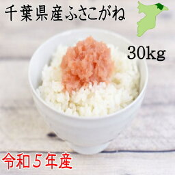 <strong>米30kg</strong>　令和5年産　千葉県産ふさこがね　白米26.4kg　小分け無料　<strong>送料無料</strong>　ツヤツヤ　ピカピカ　甘い　まずは炊き立てを食べて　お米　米千葉県産　産地直送 　 新<strong>米30kg</strong> <strong>送料無料</strong>　新<strong>米30kg</strong>　　令和5年産