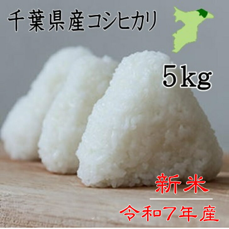 新米入荷！令和7年産　千葉県産コシヒカリ　白米5kg　新米　送料無料　お米　米　ツヤツヤ　ピカピカ　まずは炊き立てを一口食べて　大粒　お米本来の甘さ