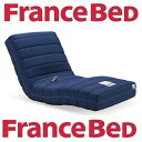 フランスベッド RP-2000 BAE シングルサイズ/当店は開梱・設置・梱包材の回収まで送料無料!/ブレスエアーエクストラ/東洋紡/電動リクライニングマットレス/CM放映商品/日本製/オススメ/RP-1000DLXグレードアップモデル/ルーパームーブ/通気性抜群/2017年新作