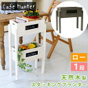 【300円クーポン】天然木製スタッキングプランター ロータイプ 1段送料無料 お庭も室内もセンスあふれる心地よい空間に♪ STP-4038 ガーデニング ラック スタンド ラック フラワーラック ベランダ フラワースタンド 家庭菜園 ガーデンラック BBQ 木製 2段 アウトド