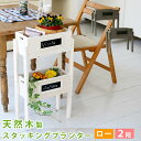 【300円クーポン】天然木製スタッキングプランター ロータイプ 2段送料無料 お庭も室内もセンスあふれる心地よい空間に♪ STP-4038-2Pガーデニング ラック スタンド ラック フラワーラック ベランダ フラワースタンド 家庭菜園 ガーデンラック BBQ 木製 3段 アウト