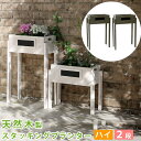 【300円OFFクーポン配布中】【ランキング1位獲得】天然木製スタッキングプランター ハイタイプ 2段送料無料 お庭も室内もセンスあふれる心地よい空間に♪ STP-4060-2Pガーデニング ラック スタンド ラック フラワーラック ベランダ フラワースタンド 家庭菜園