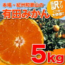 訳あり有田みかん5kg【送料無料】有田みかん5Kg【田村地区】より直送過酷な自然を生き抜いてきた傷ついたみかんたち。【全サイズ混合】【105060】