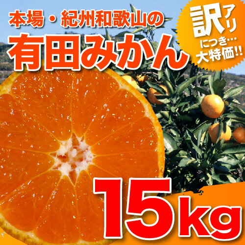 訳あり有田みかん15kg【RCPdec18】【送料無料】有田みかん15Kg【田村地区】より直送過酷な自然を生き抜いてきた傷ついたみかんたち。【全サイズ混合】