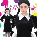 HW ベルベットワンピースガール ハロウィン コスプレ コスチューム 衣装 仮装 変装 レディースサイズ クリアストーン 4560320871910【あす楽】