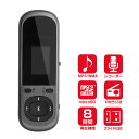 ラジオ・ボイスレコーダー付き音楽プレーヤー デジタルオーディオプレーヤー MP3/WMAを再生 microSD/microSDHC対応 シルバー グリーンハウス GH-KANADRB-SV