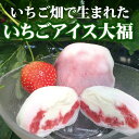 いちご畑で生まれた さぬき農業ぐらし大福工房 の 「いちごア...