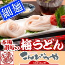 本場讃岐の包丁細切り半生『梅うどん』4袋(8人前)【送料無料】ポスト投函便での配送(代金引換-後払い不可・着日指定不可)【RCP】 10P27May16