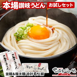 【送料無料】本場さぬきうどん お試しセット 4人前＆極太<strong>麺</strong>2人前の合計6人前（つゆ無し）◇技能グランプリ 受賞◇4セット以上のご注文は宅配便となり【着日指定】【着時間指定】が可能！ 讃岐うどん 半生<strong>麺</strong> うどん お試し セット ★