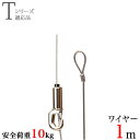 ピクチャーレール用 KHRハンガー A1m 耐荷重10kg ロック付き
