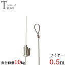 ピクチャーレール用 KHSハンガー A0.5m 耐荷重10kg