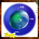 【20ポイント付】HOYA マルチビューEXライト (遠近両用) 【ハードタイプ】