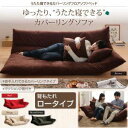 【送料無料】フロアソファベッド【ロータイプ】/フロアソファ ソファベッド ローソファ ロングセラー 季節 トレンド 座る 寝ころぶ ふかふか 座り心地 寝心地 14段階リクライニング 好みの角度 日本製 清潔 品質 便利さ