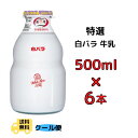 白バラ 特選 白バラ牛乳 500ml 6本 ビン 送料無料 クール便 ビン びん 大瓶 コーヒー 朝ごはん おやつ ジュース 特選 生乳