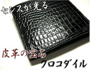 @ysmtb-TDz ysaitamazNRz(܂jyzysmtb-TDz ysaitamaz y|Cg10{z