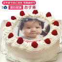 写真ケーキ(丸) 6号 生クリーム【あす楽対応定休日は不可】...