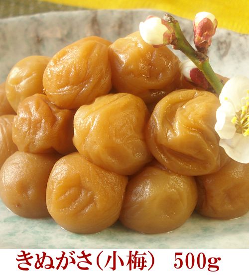 きぬがさ（小梅）500g　【和歌山県産】【紀州産小梅】一口サイズで食べやすい