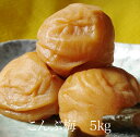 こんぶ梅5kg 【和歌山県産】