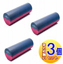 【メーカー直送/3個セット】羽立工業 セパレートポール 【返品交換・キャンセル不可品】 小型宅配便
