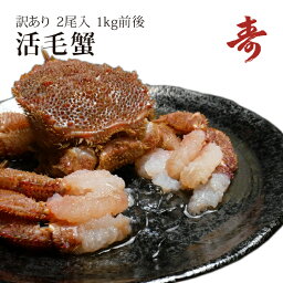 毛ガニ カニ <strong>訳あり</strong> 500g 前後 <strong>2尾</strong> 北海道産 冷蔵 毛がに 蟹 活蟹 刺し身 活茹で選択可