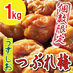 【紀州南高梅】製造中潰れてしまった『うすしお梅 つぶれ1kg』