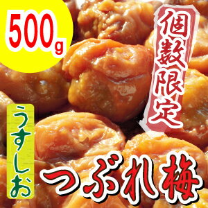 【紀州南高梅】製造中潰れてしまった『うすしお梅 つぶれ500g』